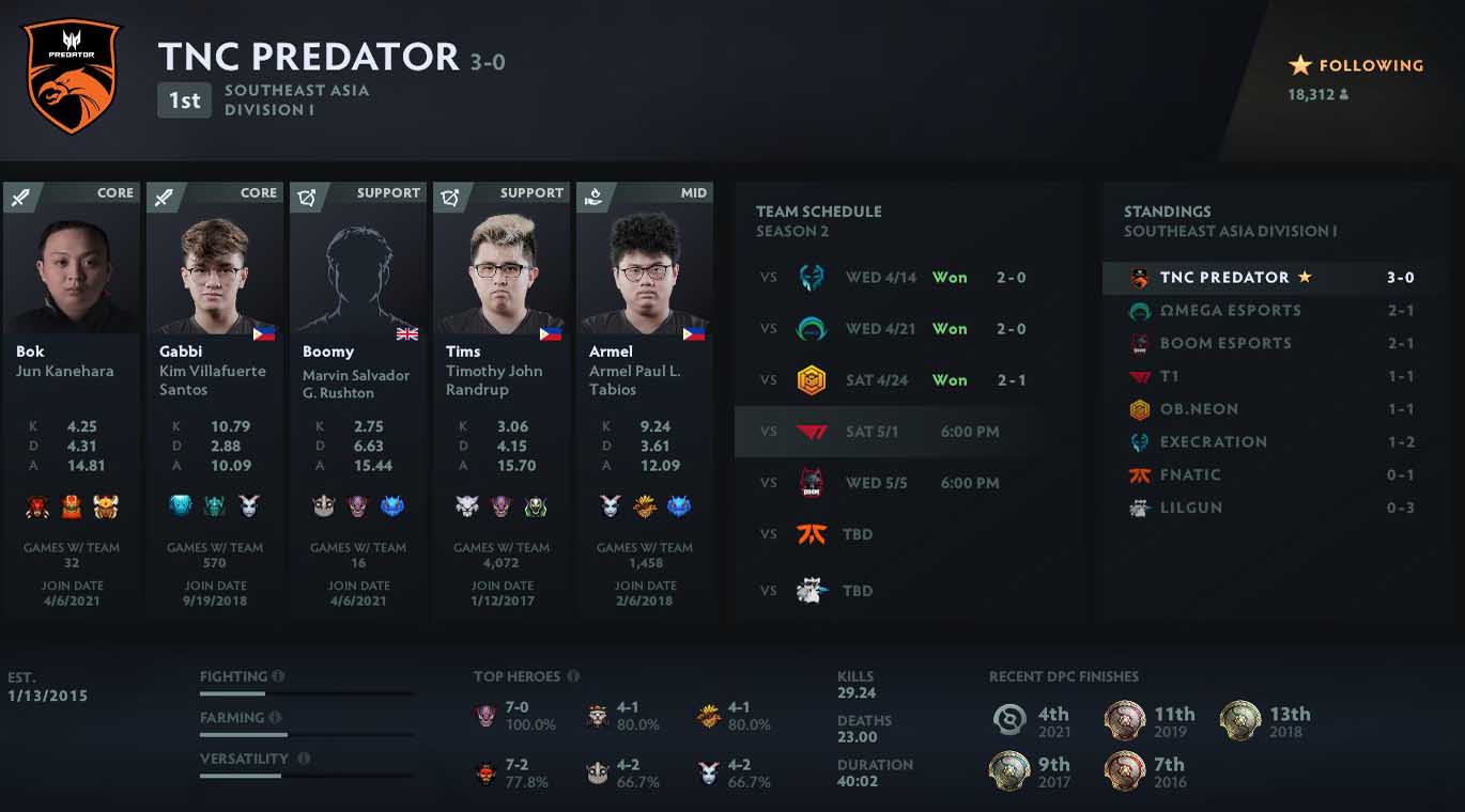 Dota 2 player profiles что это